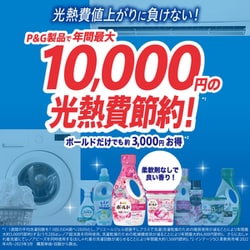 ボールド 液体 心弾けるシトラス&ヴァーベナの香り 詰替 超特大760g×16袋 ボールド 液体 心弾けるシトラス&ヴァーベナの香り 詰替 超特大