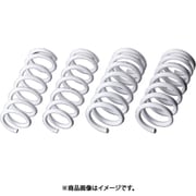 EXTAGE SPRING SET KYB スプリングセット Extege エルグランド E51 1台分 EXS-E51 EXS-E51