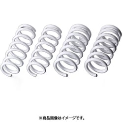 EXTAGE SPRING SET KYB スプリングセット Extege ノア/ヴォクシー/エスクァイア ZRR80W 1台分 EXS-ZRR80W EXS-ZRR80W