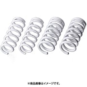 EXTAGE SPRING SET KYB スプリングセット Extege ノア/ヴォクシー/エスクァイア ZRR80W 1台分 EXS-ZRR80W EXS-ZRR80W