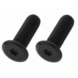 トルクス スリムヘッドボルト BK M5×10 2pcs 930510-K2