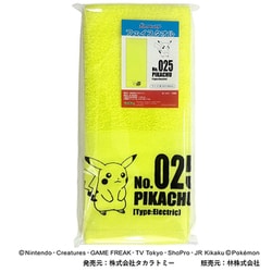 FP407300 ポケットモンスター 浴用タオル ピカチュウ