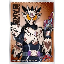 エンスカイ　スリーブ　仮面ライダー　１０種ＳＥＴ Amazon | エンスカイ(ENSKY) キャラクタースリーブ 仮面ライダー