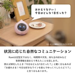 ヨドバシ.com - mixi ミクシィ 会話AIロボット Romi Lacatan