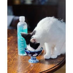 ヨドバシ.com - ウォテロ Watero 愛犬・愛猫専用 Watero