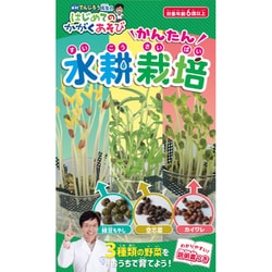 米村でんじろう先生のはじめてのかがくあそび かんたん水耕栽培