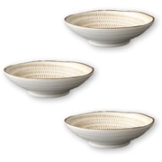 とびかんな 深皿 3点セット 径17cm 450ml 382666