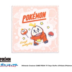 69-0160070 [ポケットモンスター ユアチョイス 20cm×20cm レッド タオルハンカチ ホゲータ]