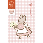 美濃和紙ぽち袋 マロンクリーム サンリオ VP343