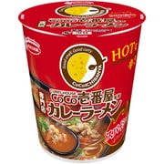 限定 CoCo壱番屋監修 専門店のカレーラーメン スパイシー 59g