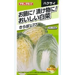 きらぼし77
