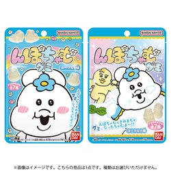 んぽちゃむ グミ 1個 [コレクション食玩]