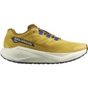 AERO BLAZE 3 GRVL メンズ ランニングシューズ SPICY MUSTARD/VANILLA ICE/NAUTICAL BLUE 30cm L47974200