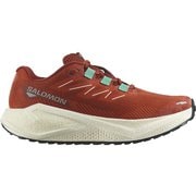 AERO BLAZE 3 GRVL レディース ランニングシューズ BURNT OCHRE/VANILLA ICE/VANILLA ICE 22.5cm L47915000