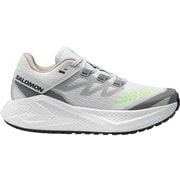AERO GLIDE 3 GRVL レディース ランニングシューズ WHITE/FTW SILVER/GREEN GECKO 25cm L47870700