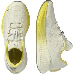 ヨドバシ.com - サロモン SALOMON エアログライド3 メンズ