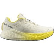 エアログライド3 メンズ ランニングシューズ VANILLA ICE/BLAZING YELLOW/SEDONA 26.5cm L47975900