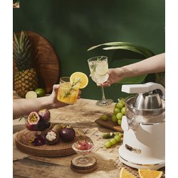 Hurom ホワイト シトラスジューサー 未使用 楽天市場】【HUROM 公式】ヒューロム シトラスジューサー CJ-B03