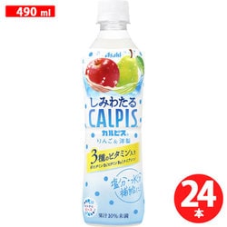 しみわたるカルピス りんご＆洋梨 490ml×24本 [乳酸]