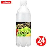 ウィルキンソン タンサン ザ フルーティーマスカット 490ml×24本 [炭酸飲料]