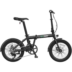 電動折りたたみ自転車 ERWAY A01 20インチ 7段変速 5段階電動アシスト ブラック erway-a01-70