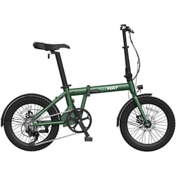 電動折りたたみ自転車 ERWAY A01 20インチ 7段変速 5段階電動アシスト グリーン erway-a01-70