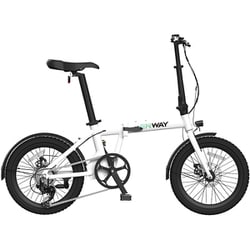 電動折りたたみ自転車 ERWAY A01 20インチ 7段変速 5段階電動アシスト ホワイト erway-a01-70