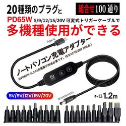 PD65W 電圧可変式 トリガーケーブル DC20プラグセット PDX-65W20