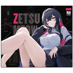 ゲーミングマウスパッド 布製 スピードバランスタイプ 絶2.0-ZETSU2.0- ブラック ZETSU2-BLK