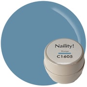Naility!カラージェル コンテナタイプ C1605 ブルージュ 017890