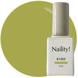 Naility！カラージェル ボトル（筆付き）タイプ B1505 ケール 017840