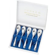 ホームフェスタ 5pcs ティースプーンセット ステンレス 燕三条 HFS-5TS