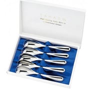 ホームフェスタ 5pcs カレースプーンセット ステンレス 燕三条 HFS-5CU