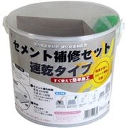 セメント補修セット 速乾タイプ