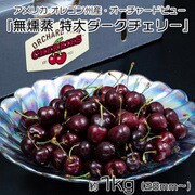 203i11519 [無燻蒸 特大ダークチェリー オーチャードビュー アメリカ オレゴン州産 約1kg（28mm～） 簡易箱 ※冷蔵]