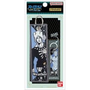 B01C3440 ジョジョの奇妙な冒険 第六部 ストーンオーシャン フライトタグ ウェザー・R