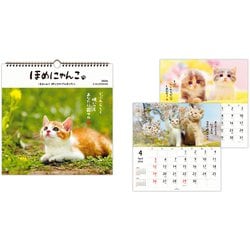 YDC-845-308 [限定 2026 カレンダー 壁掛け 大 ほめにゃんこ]