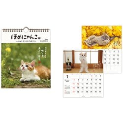 YDC-845-407 [限定 2026 カレンダー 壁掛け 小 ほめにゃんこ]