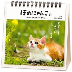 にゃんにゃんにゃんこ カレンダーセット にゃんにゃんにゃんこ カレンダーセット Amazon.co.jp