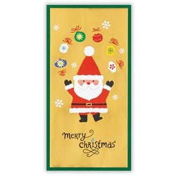 限定 クリスマス祝儀封筒 サンタ2 XME-848-064