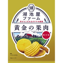 湖池屋ファーム 黄金の果肉 焼き塩 55g