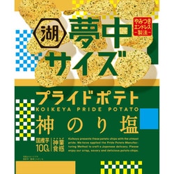 夢中サイズプライドポテト 神のり塩 102g