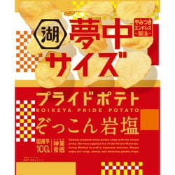 夢中サイズプライドポテト ぞっこん岩塩 102g
