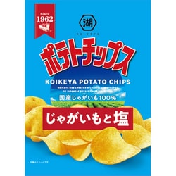 ポテトチップス じゃがいもと塩 55g