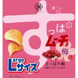 Largeサイズ すっぱムーチョ チップスさっぱり梅 108g