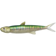 ラストエース 168 #55 オイカワ