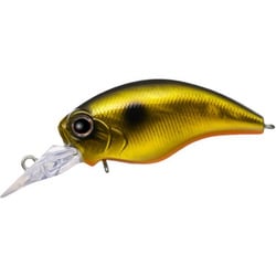 ワイルドハンチ SR #211 ゴールデンシャイナー