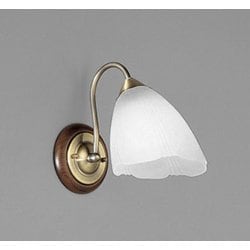 ブラケット/昼白色/要電気工事 OB080246NR