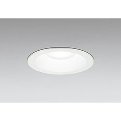 エクステリアライト/昼白色/φ125/要電気工事 OD261783R