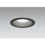 エクステリアライト/昼白色/φ125/要電気工事 OD261833R